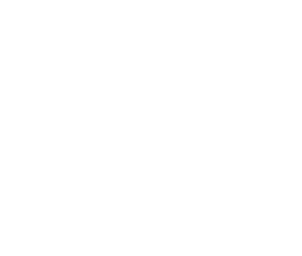Fern & Wild